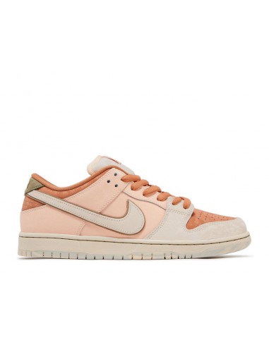 Nike SB Dunk Low Trocad�ro Gardens basket pas cher