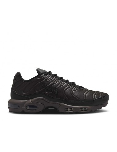 Nike Air Max Plus Premium Paris Voir les baskets