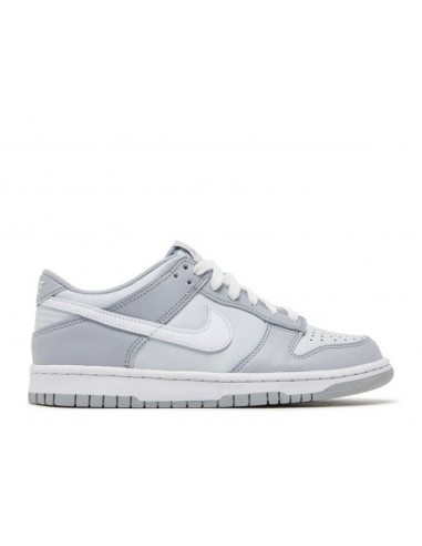 Nike Dunk Low Two-Toned Grey (GS) À commander