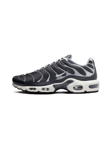 Nike Air Max Plus SE Greyscale Cool Grey la livraison gratuite