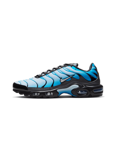 Air Max Plus Blue Gradient plus qu'un jeu 