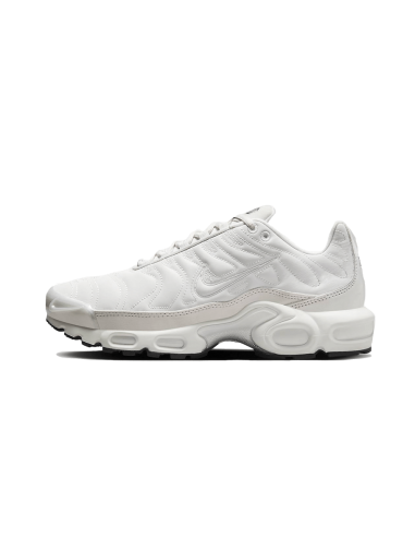 Air Max Plus Reflective Platinum de l' environnement