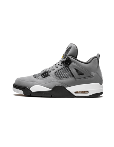 Air Jordan 4 Retro Cool Grey (2019) Dans la société mordern