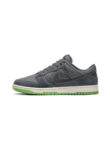 Dunk Low Swoosh Shadow Iron Grey Dans la société mordern